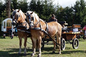Südharz Rallye für Pferdegespanne