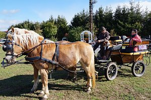 Südharz Rallye für Pferdegespanne