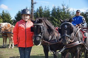 Südharz Rallye für Pferdegespanne