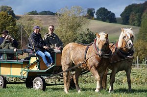 Südharz Rallye für Pferdegespanne