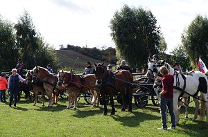 Südharz Rallye für Pferdegespanne