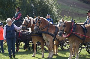Südharz Rallye für Pferdegespanne