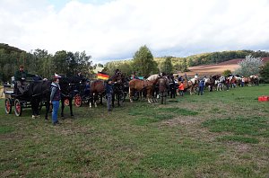 Südharz Rallye für Pferdegespanne