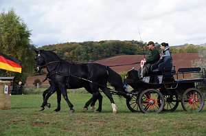 Südharz Rallye für Pferdegespanne
