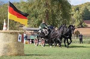 Südharz Rallye für Pferdegespanne