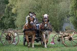 Südharz Rallye für Pferdegespanne