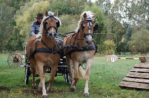 Südharz Rallye für Pferdegespanne