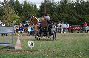 Südharz Rallye für Pferdegespanne