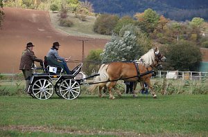 Südharz Rallye für Pferdegespanne