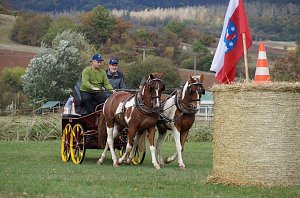 Südharz Rallye für Pferdegespanne