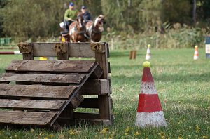 Südharz Rallye für Pferdegespanne