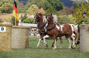 Südharz Rallye für Pferdegespanne