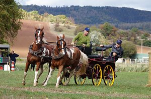 Südharz Rallye für Pferdegespanne