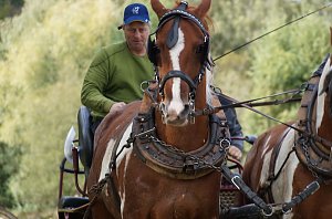 Südharz Rallye für Pferdegespanne