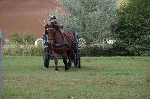 Südharz Rallye für Pferdegespanne