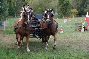 Südharz Rallye für Pferdegespanne