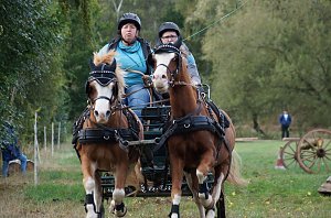 Südharz Rallye für Pferdegespanne