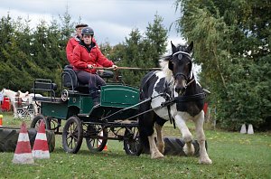 Südharz Rallye für Pferdegespanne