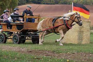 Südharz Rallye für Pferdegespanne