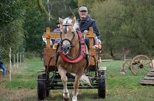 Südharz Rallye für Pferdegespanne