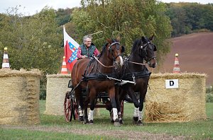 Südharz Rallye für Pferdegespanne