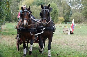 Südharz Rallye für Pferdegespanne