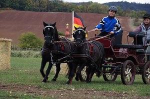 Südharz Rallye für Pferdegespanne