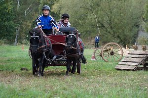 Südharz Rallye für Pferdegespanne