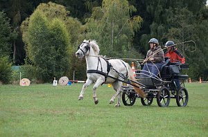 Südharz Rallye für Pferdegespanne