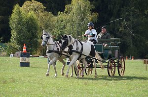 Südharz Rallye für Pferdegespanne