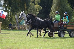 Südharz Rallye für Pferdegespanne