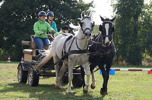 Südharz Rallye für Pferdegespanne