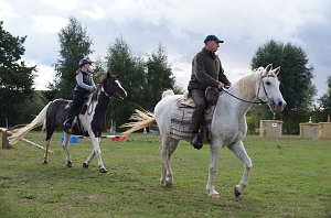 Südharz Rallye für Pferdegespanne