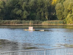 Letztes Abbaden am Bebraer Teich