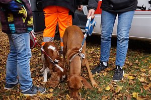 Erntedankfest in Urbach