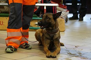 Erntedankfest in Urbach