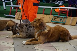 Erntedankfest in Urbach