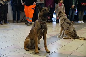 Erntedankfest in Urbach