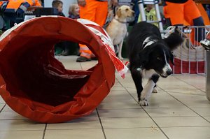 Erntedankfest in Urbach