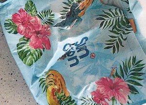 Wer erkennt die Taschen?