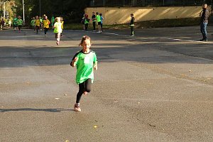 Herbst-Crosslauf im Gehege