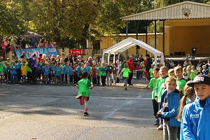 Herbst-Crosslauf im Gehege