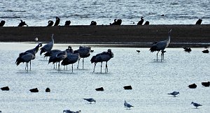 Abendstimmung am Stausee Kelbra
