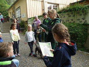 Ferienaktion Wolfsspur