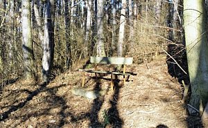Stellungnahme zum Problem "Knopfmacherhölzchen"