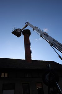 Storchennest in Windehausen wurde "saniert"
