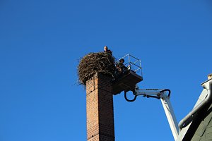Storchennest in Windehausen wurde "saniert"