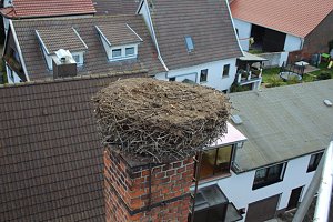 Storchennest in Windehausen wurde "saniert"