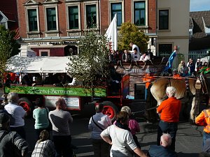 Bilder vom Festumzug
