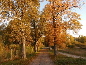 Herbst